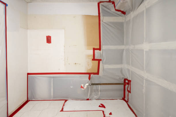 Best Commercial Mold Inspection  in Cuyahoga Falls, OH